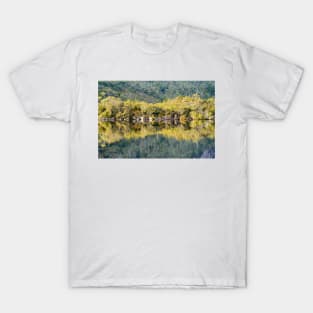 Dove Lake Reflection 03 T-Shirt